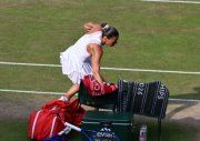 The Championships  Wimbledon 2026