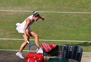 The Championships  Wimbledon 2026