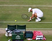 The Championships  Wimbledon 2026